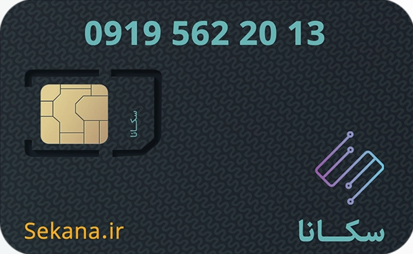 09195622013