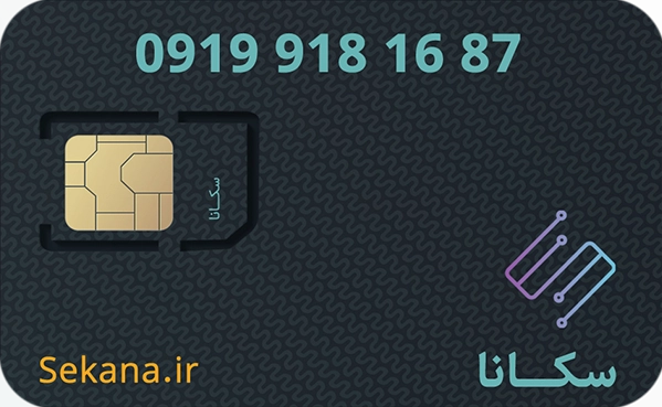 09199181687